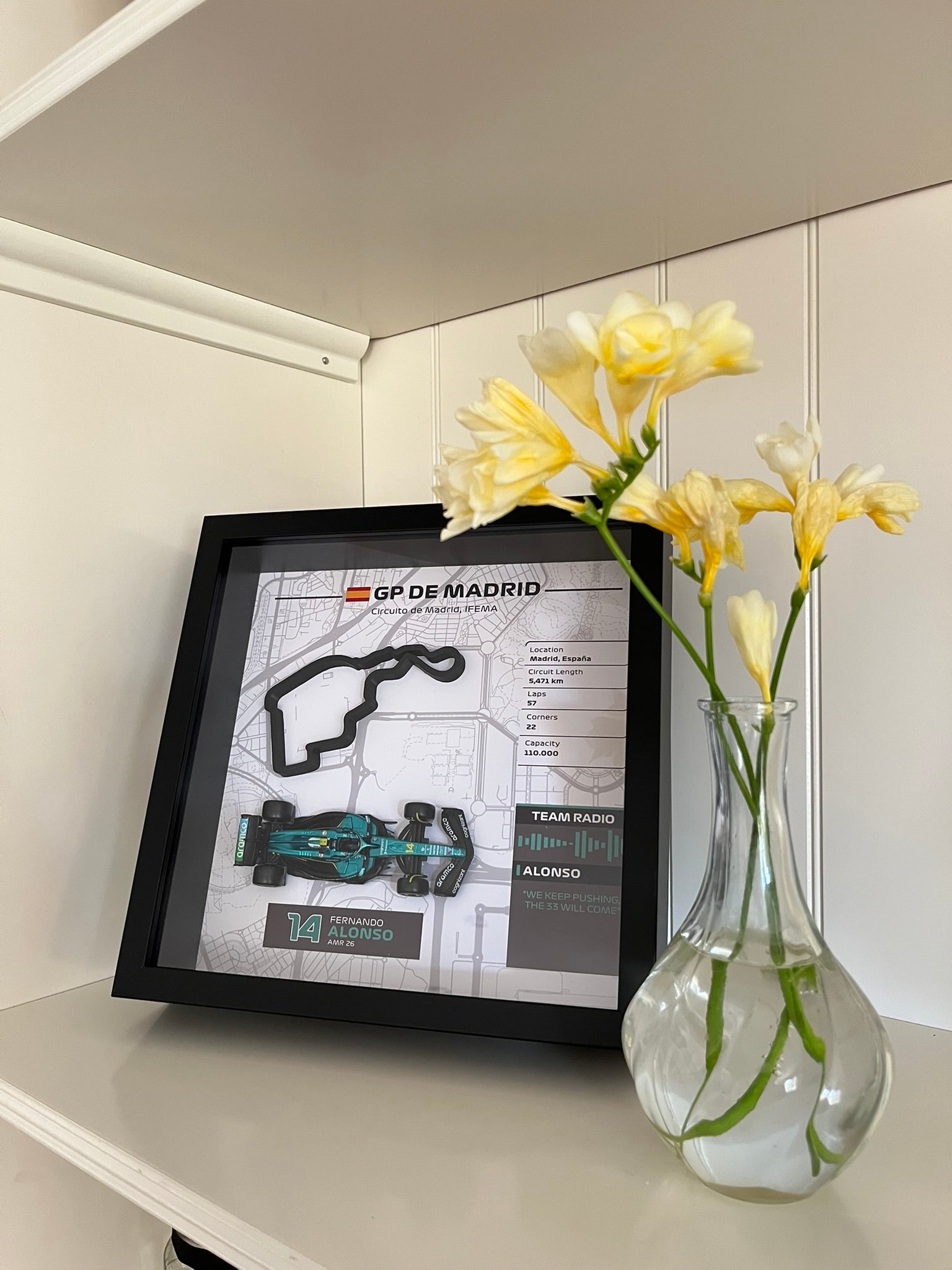 GP Madrid – Fernando Alonso