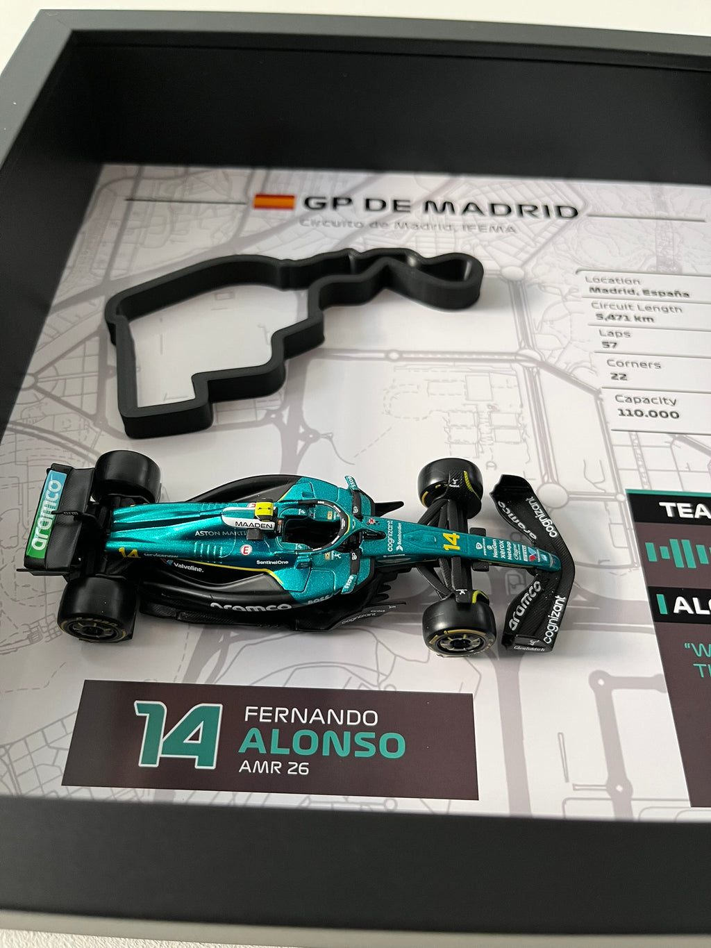 GP Madrid – Fernando Alonso