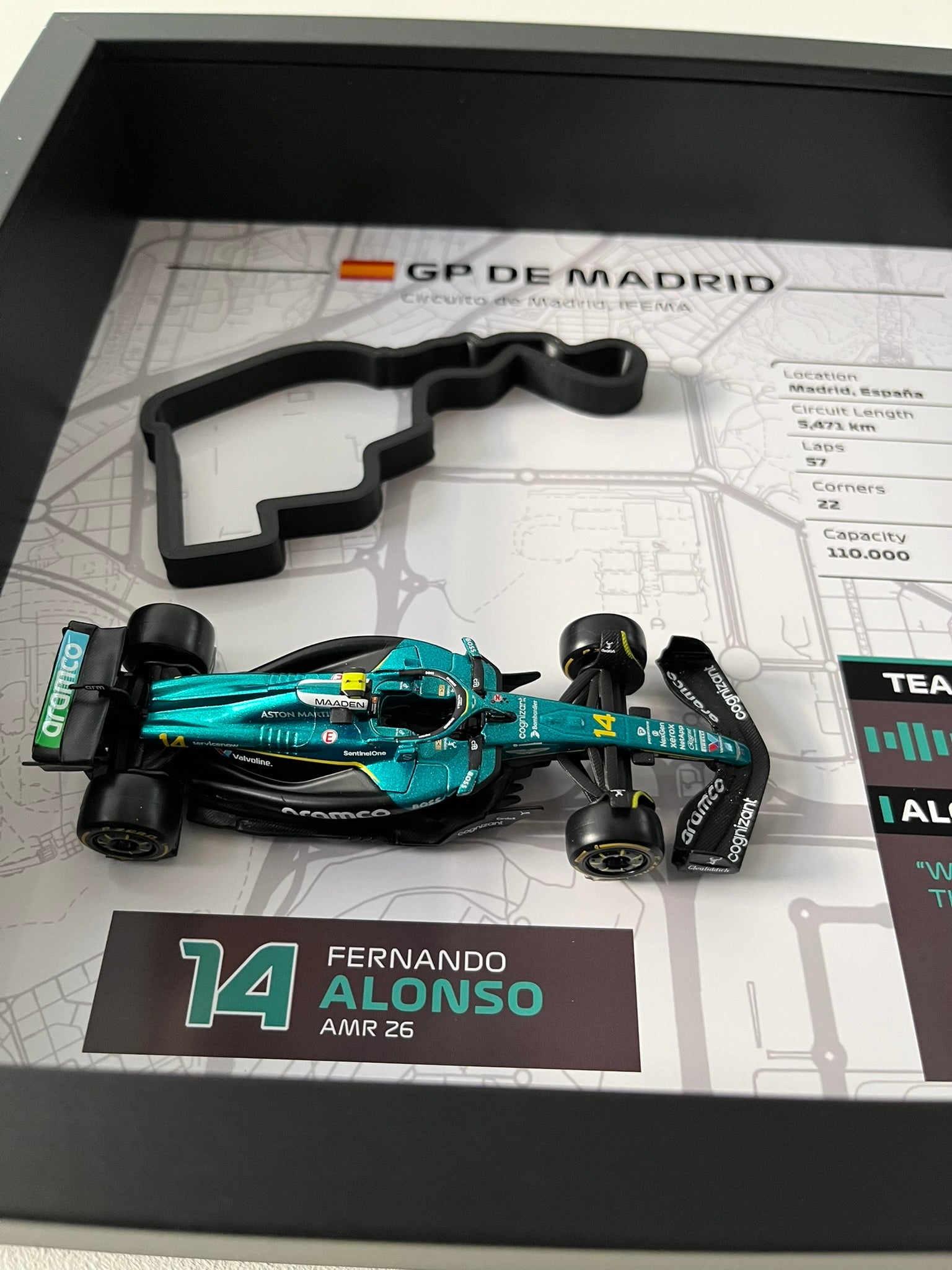 GP Madrid – Fernando Alonso